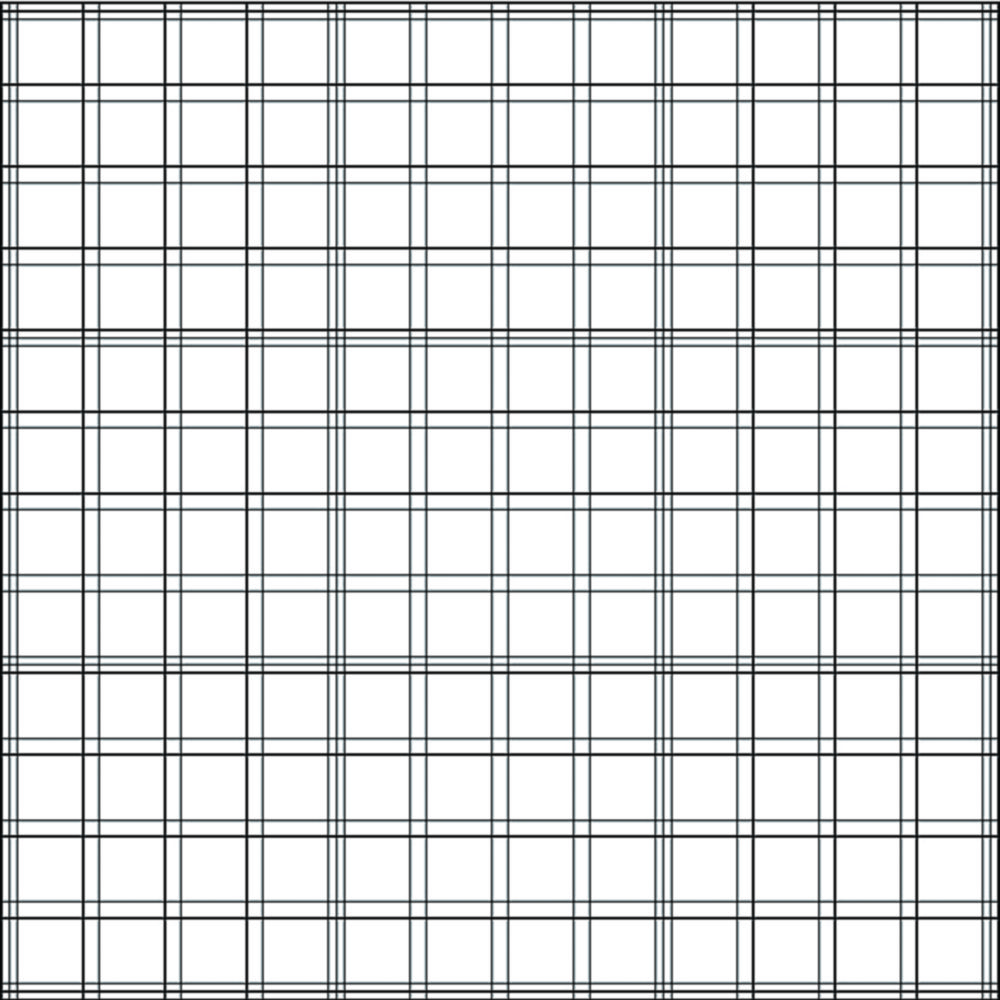 Counting Chamber, Bürker