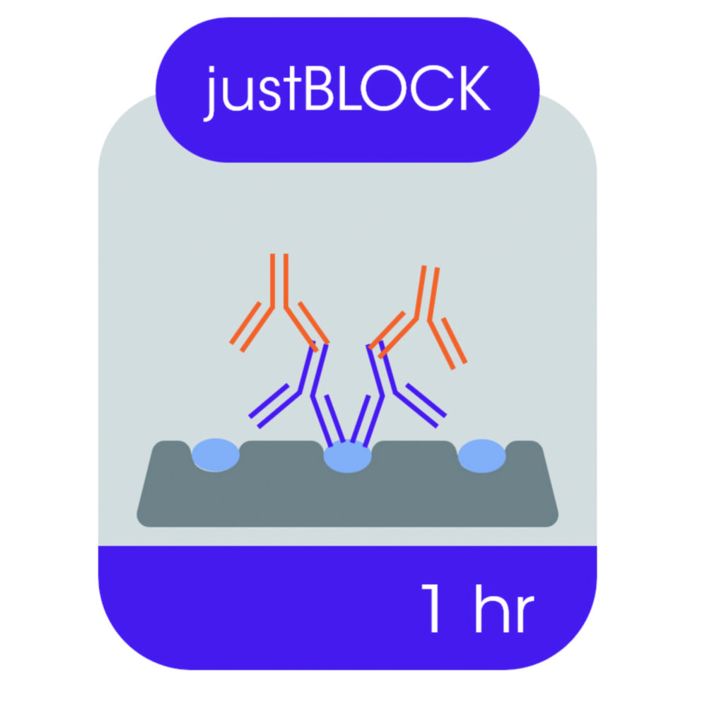 Blokovací roztok pro Western blot
