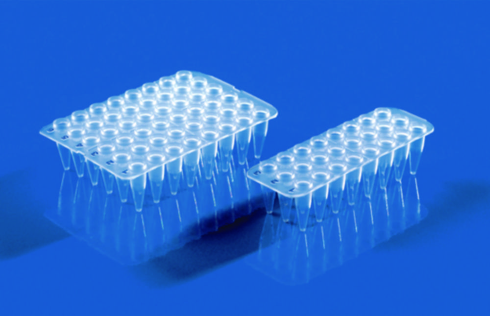 24 / 48 jamkové PCR destičky, bez okrajů, PP, pro qPCR