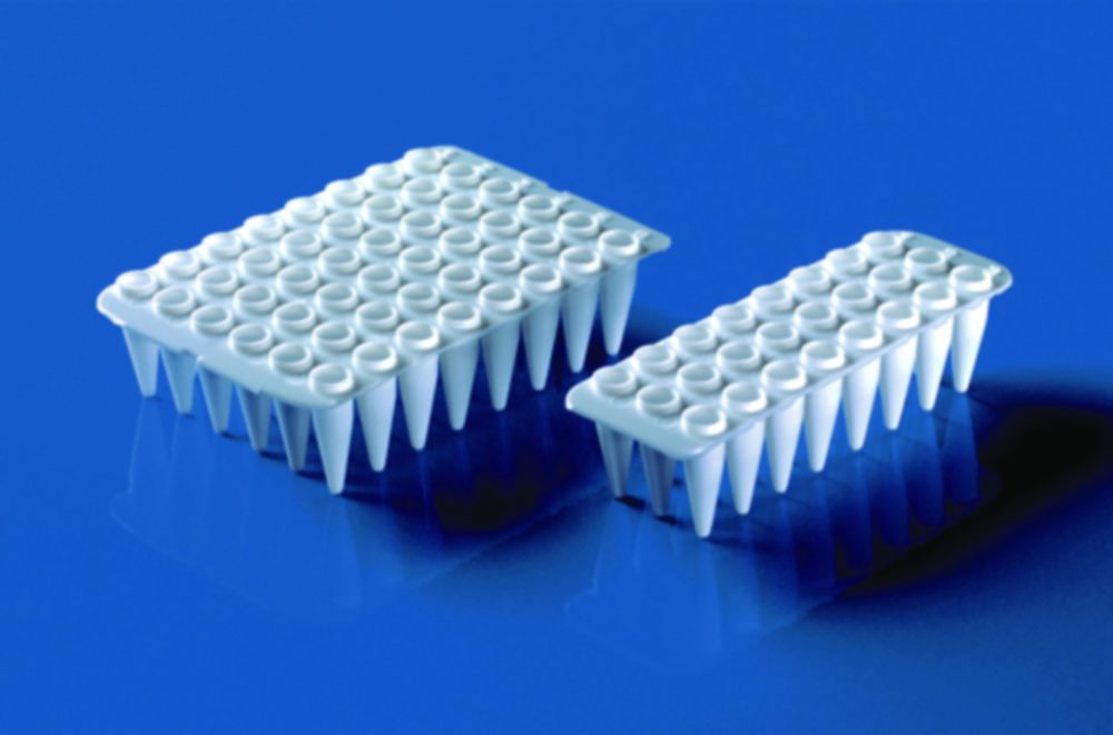 24 / 48 jamkové PCR destičky, bez okrajů, PP, pro qPCR